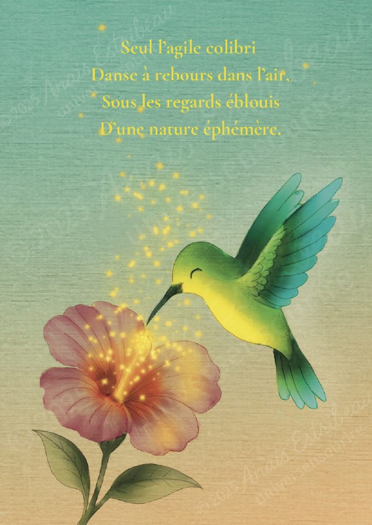 Home 14 decembre colibri