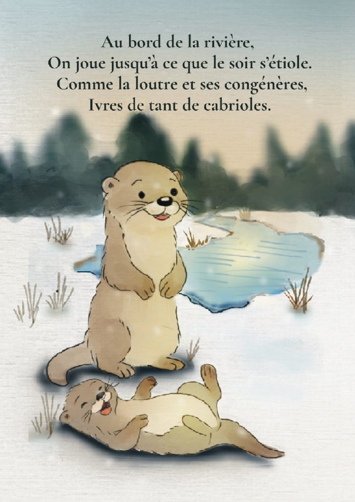 03 loutre 03 12 2012 jpeg