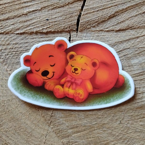 Ours et ourson endormis