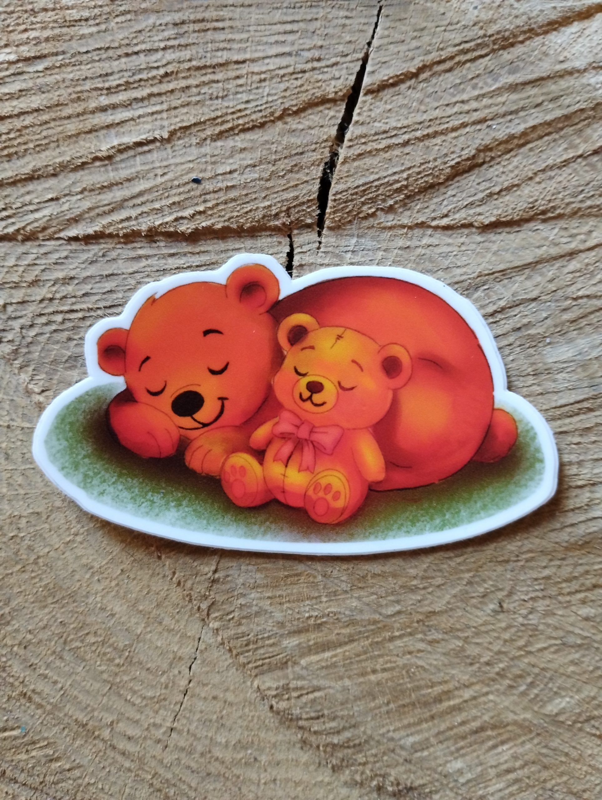 Ours et ourson endormis
