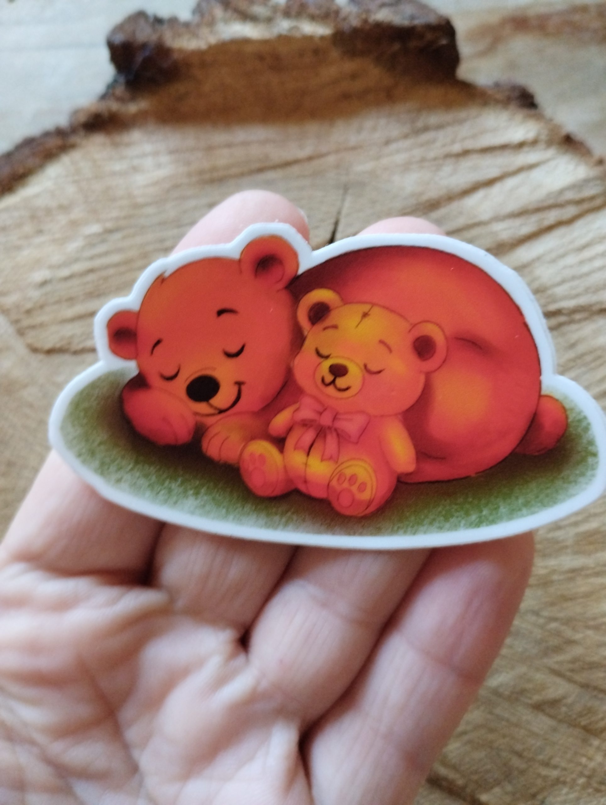Ours et ourson endormis – Image 2
