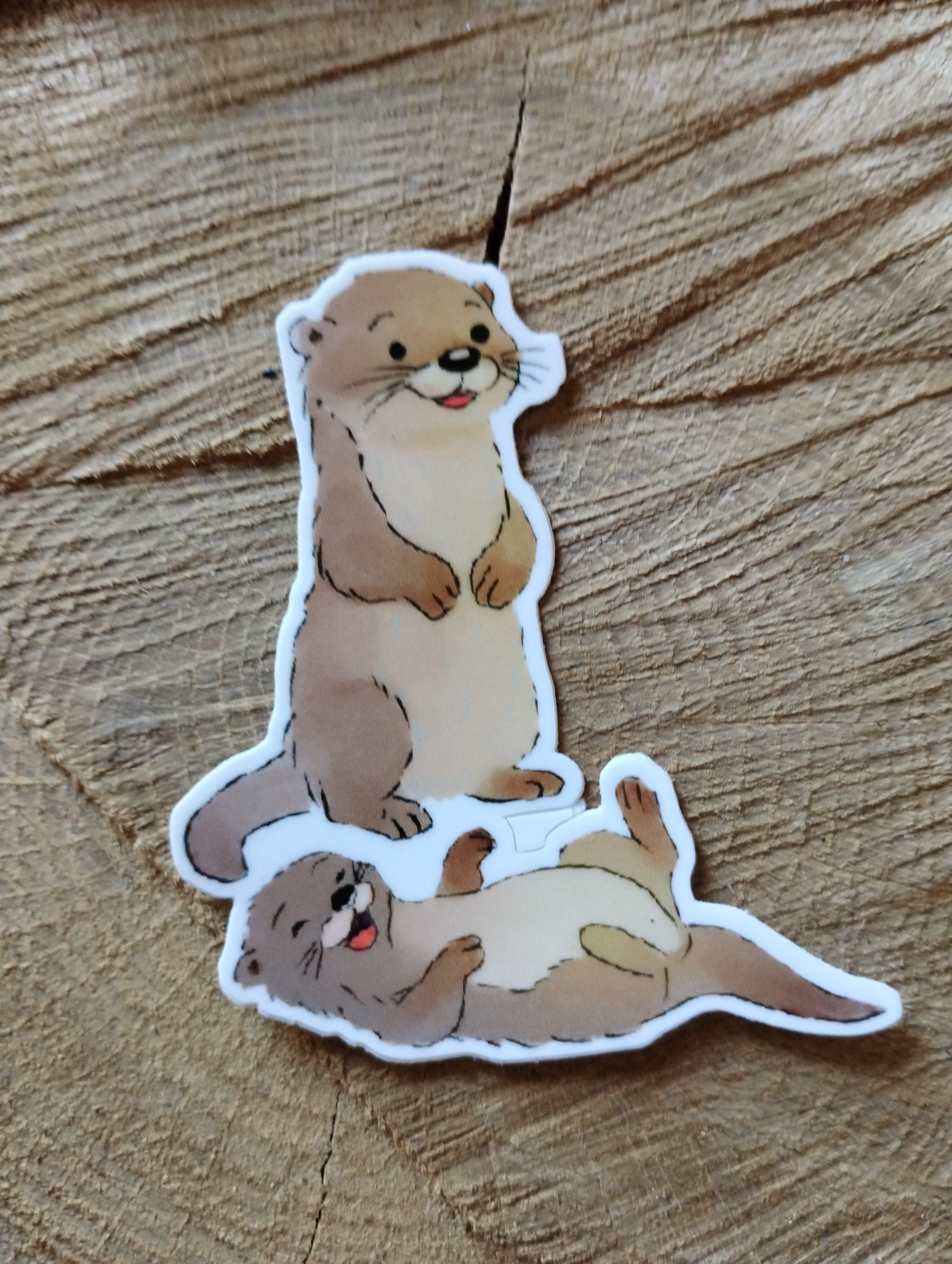 Duo de loutres