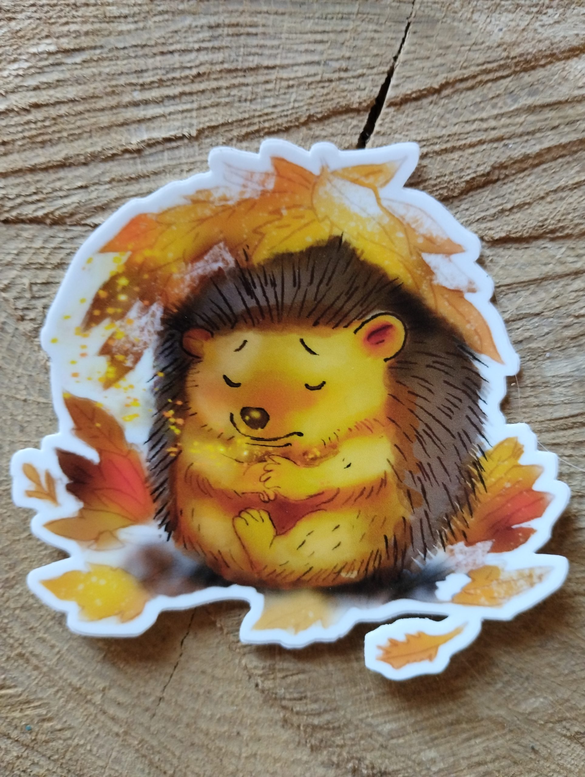 Hérisson d’automne