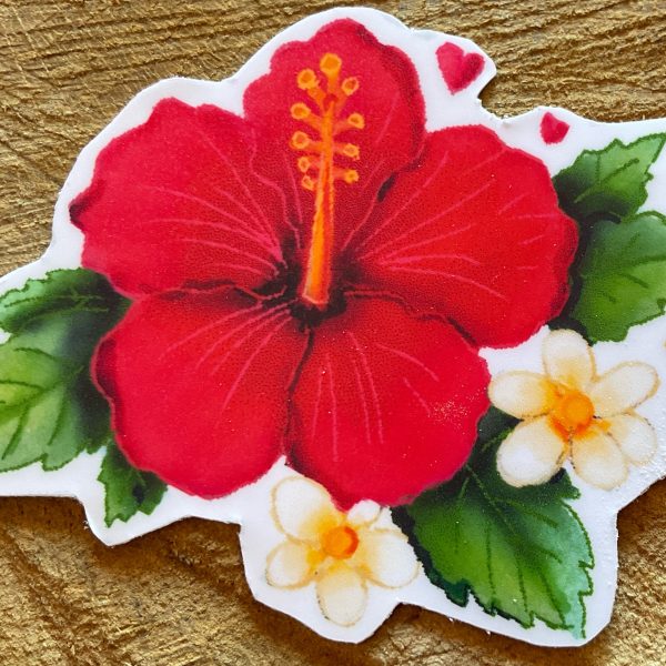 Hibiscus tropical