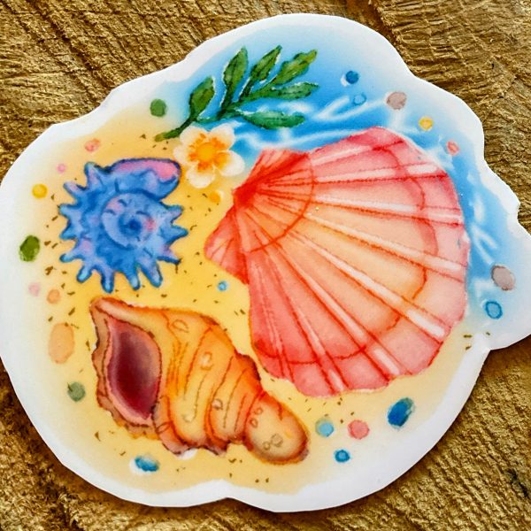 Coquillages sur la plage